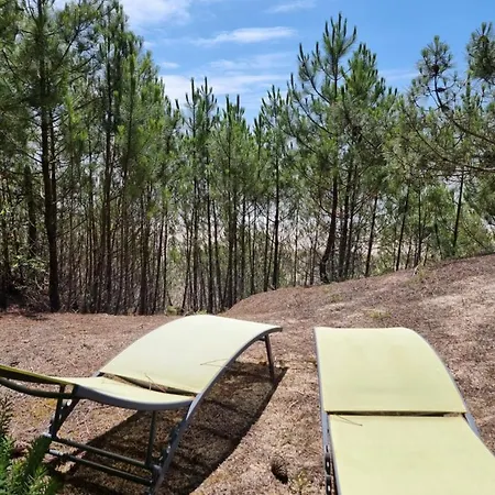 Au Pied De La Dune, Acces Prive A La Plage Ferienhaus *