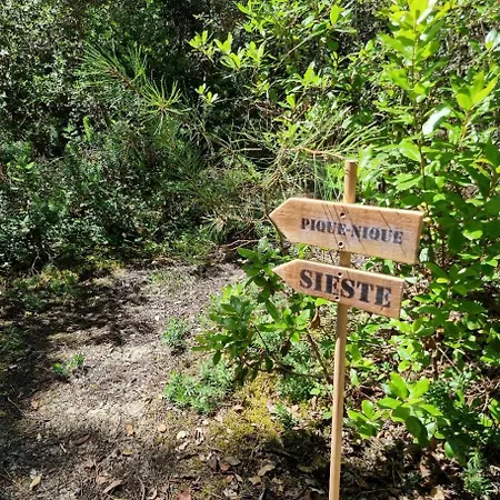 Au Pied De La Dune, Acces Prive A La Plage Ferienhaus Saint-Georges-de-Didonne
