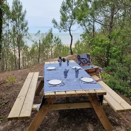Au Pied De La Dune, Acces Prive A La Plage Ferienhaus *